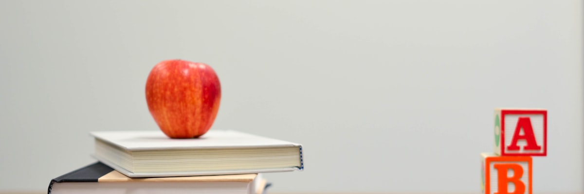 家长择校与报班避坑指南：课程体系、师资稳定性与服务透明度怎么判断